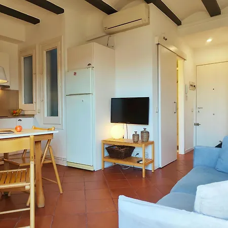 Appartamento Sunny Tranquil. 1br. Placa Catalunya Rb Barcellona