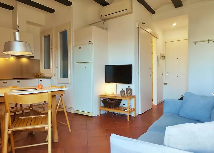 Appartamento Sunny Tranquil. 1br. Placa Catalunya Rb Barcellona